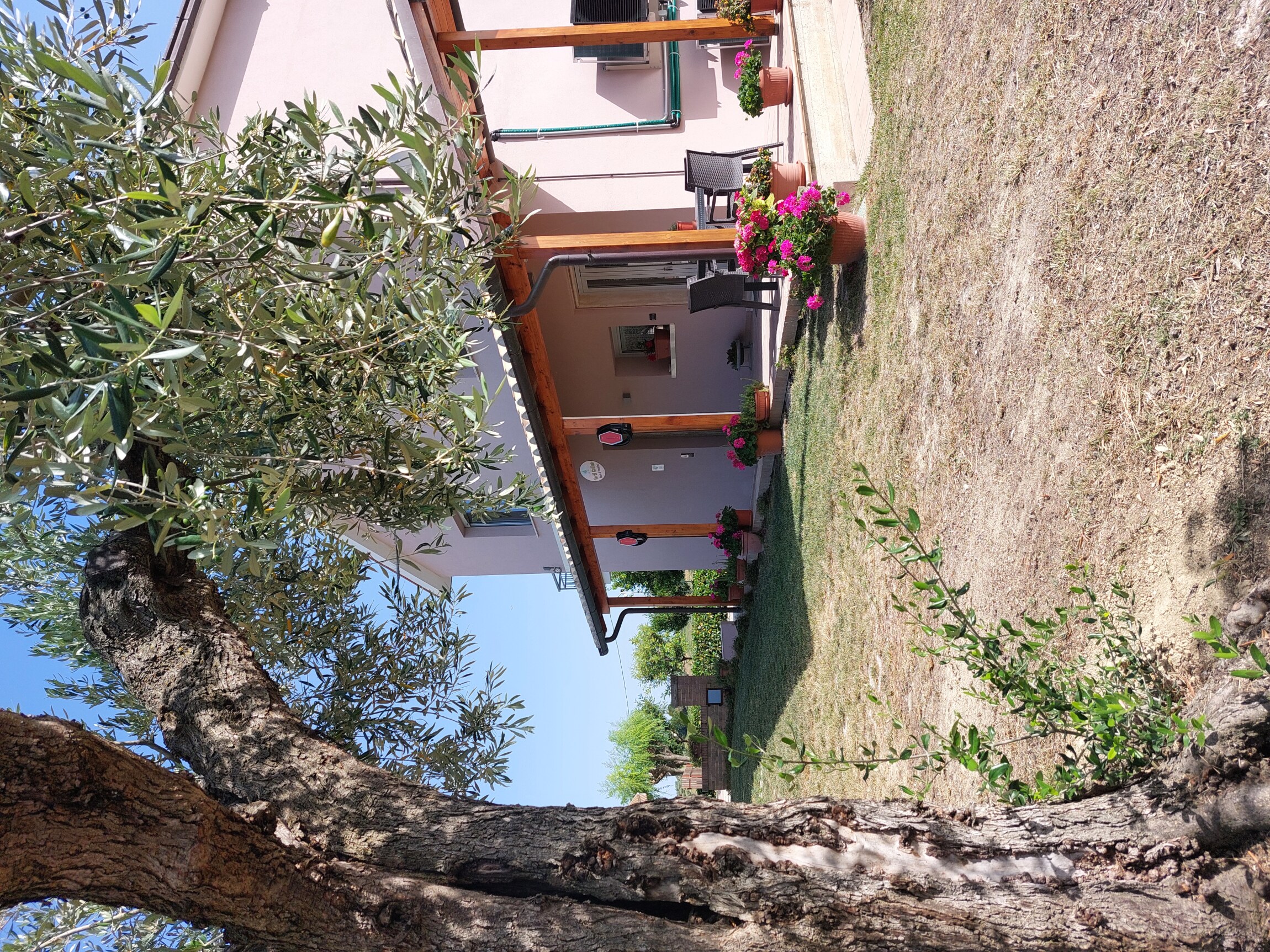 Verdi Colline Bed and breakfast Controguerra (Te) Abruzzo