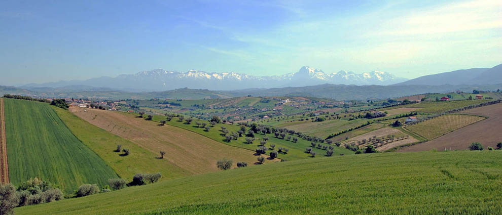 Bed and breakfast Controguerra (Te) Abruzzo