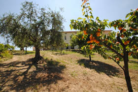 campagna